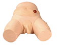 ģ()