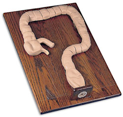 ��״�᳦�����ģ��