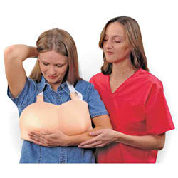 �ز��Լ챳��