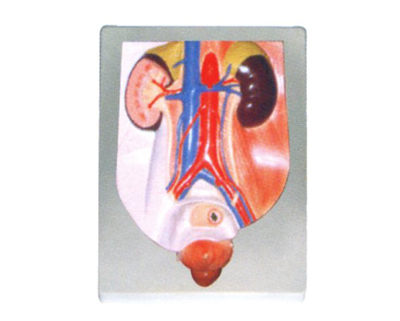 ��������ϵͳģ��