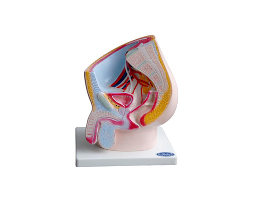 ������ǻʸ״����