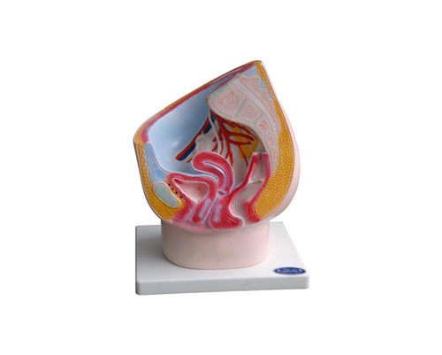 Ů����ǻʸ״����