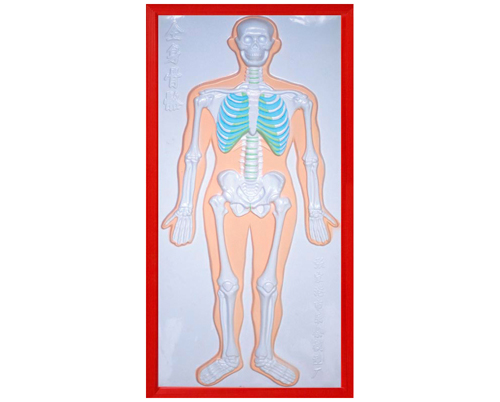 ����ϵͳ����ģ��