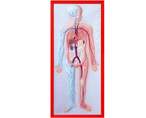 ѭ��ϵͳ����ģ��