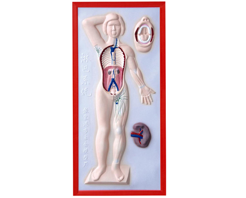 �ܰ�ϵͳ����ģ��