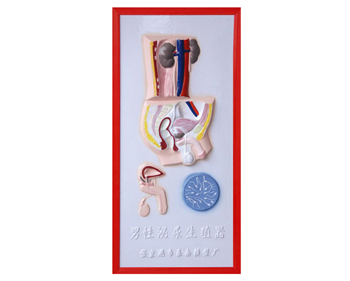 ����������ֳϵͳ����ģ��