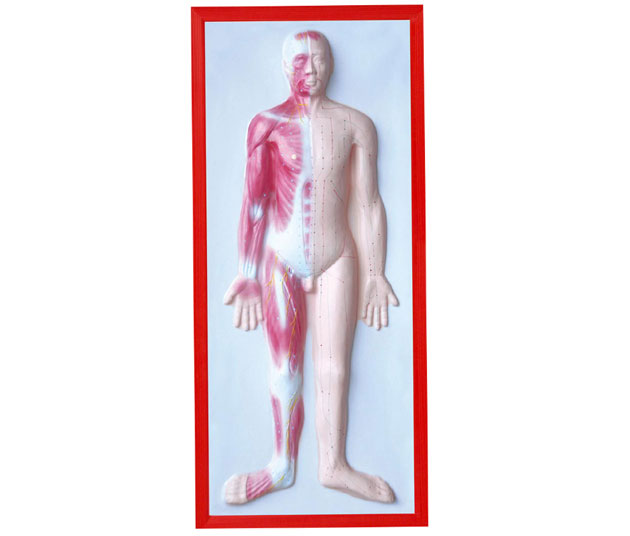 ���弡�⸡��ģ��