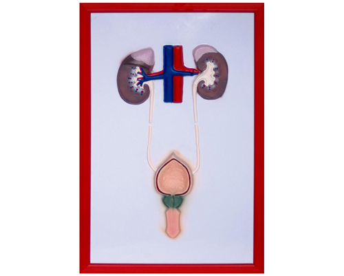 ����ϵͳ����ģ��2