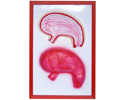 θ���ʸ���ģ��