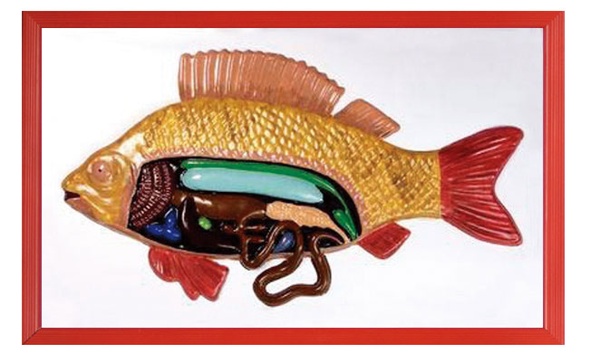 ����ʸ���ģ��