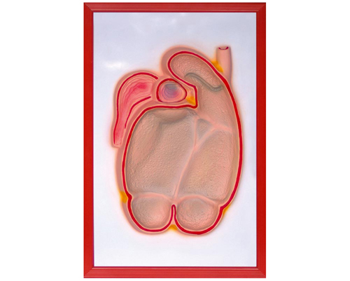 ţθ���ʸ���ģ��