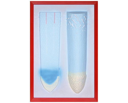 ���ݽ��ʷŴ󸡵�ģ��