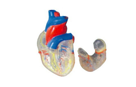 ͸��������ʣ���Ȼ��