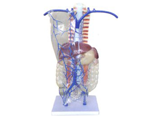 �ž�������֧ѭ��