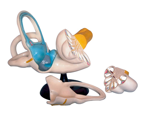 �ڶ����ʷŴ�