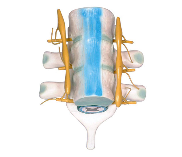 ����ͼ���