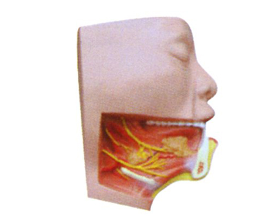 ��������ǽ���ģ��