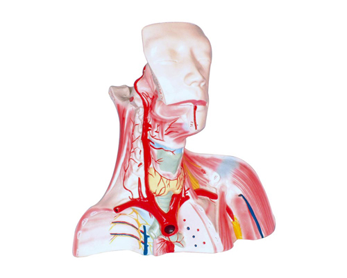 ­ǻ��ͷ���ؾֲ�����