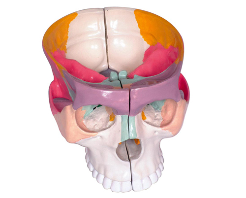 ��ɫ­�׽��ʷŴ�