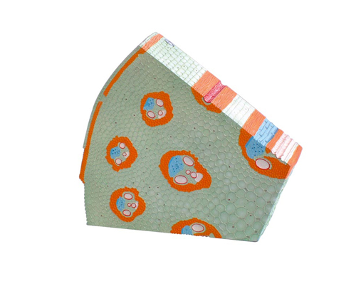 ����Ҷֲ�ﾥģ��