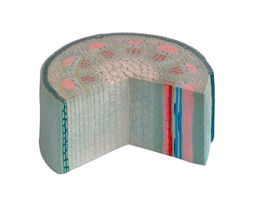 ˫��Ҷ�ݱ�ֲ�ﾥģ��