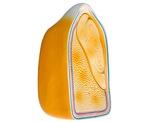 ������������ģ�ͣ��߲�װʽ��