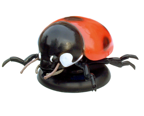 ����ư��ģ��