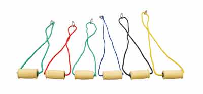 ����ѵ��������