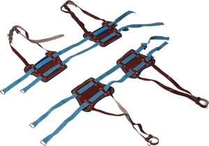 ������ǣ����