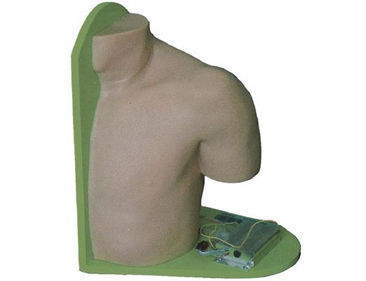 ľע䴩ѵģ