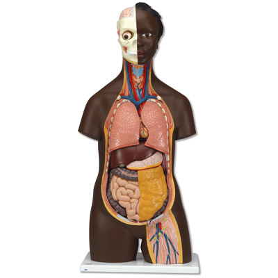 ���������������ԣ�14����