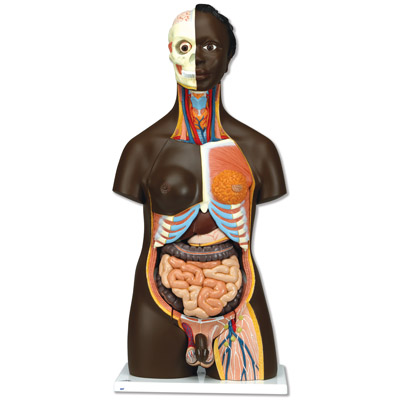 ���������������ԣ�24����