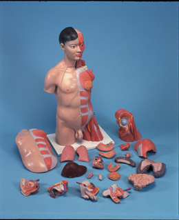 ���������������˴����������ģ�ͣ�33����