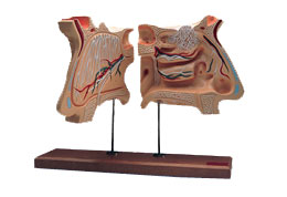 �Ǻ����������ʵ���4��