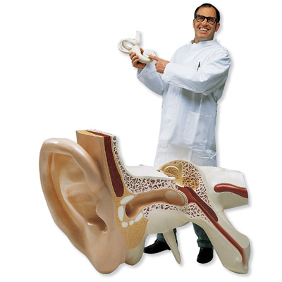 ȫ�����Ķ�ģ�ͣ�ʵ���15����3����