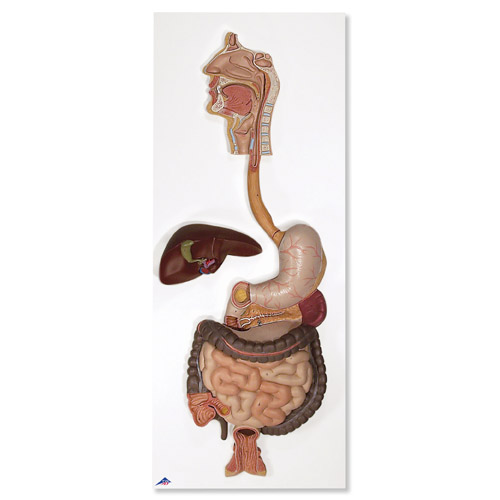 ����ϵͳģ����3����