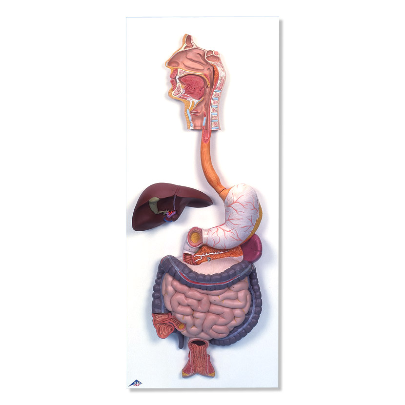 ����ϵͳģ����2����