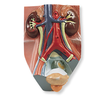 ��������ϵͳģ����ʵ���0.75��