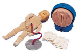 Ӥ������ģ����7����