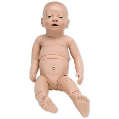 Ӥ������ģ����������