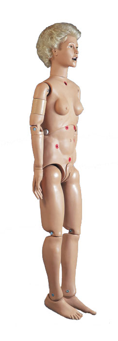 �������˻���ģ����Ů��