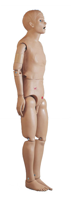 �������˻���ģ��������