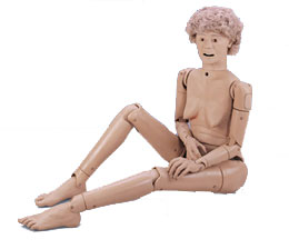 �����˻���ģ�ͣ�II 