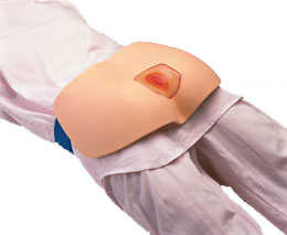 �촯���ƻ���ģ��