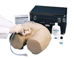 ���Ե���ܲ���ģ��