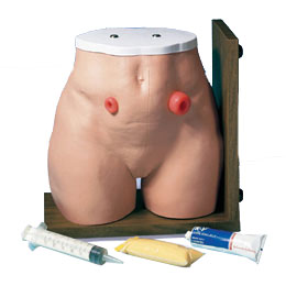 ����������ģ��