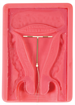 ���ڱ�������ϰģ��