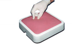 �׿�����ģ���