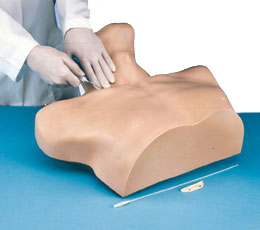 ���뾲���ڲ��ģ��