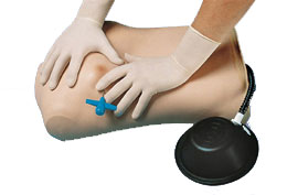 ����ģ����